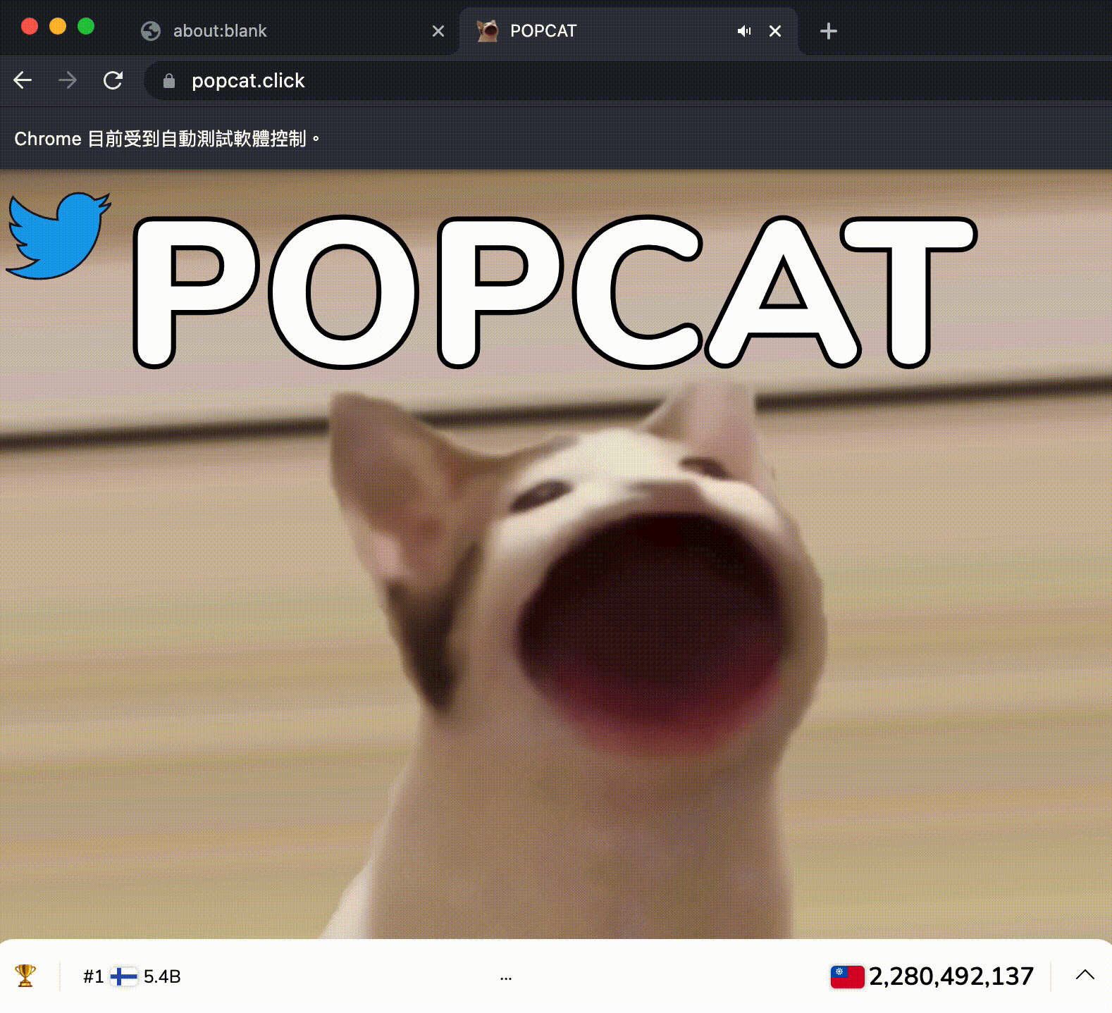 popcat auto clicker download